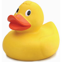 Duck Snippet for TypeScript